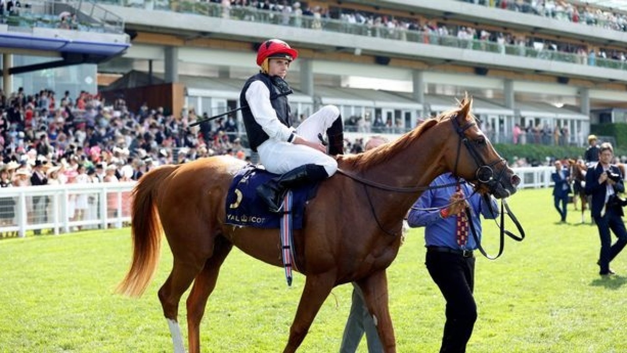 Review: Gr.1 Royal Ascot Gold Cup Image 1